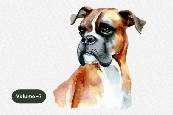 Boxer Dog Watercolor Clipart Volume –7
